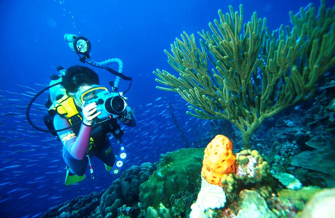 Foto Tips Memilih Paket Wisata ke Raja Ampat Pesona Indonesia - fototrip 2