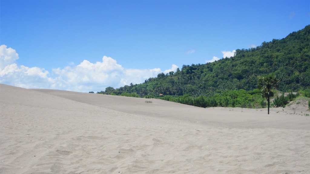 Foto Padang Pasir di Jogja Pesona Indonesia Foto Trip 3