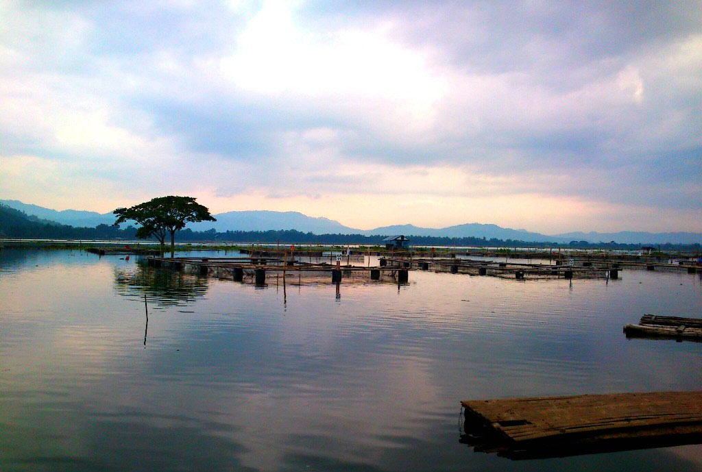 Foto Rowo Jombor Pesona Indonesia Foto Trip 2