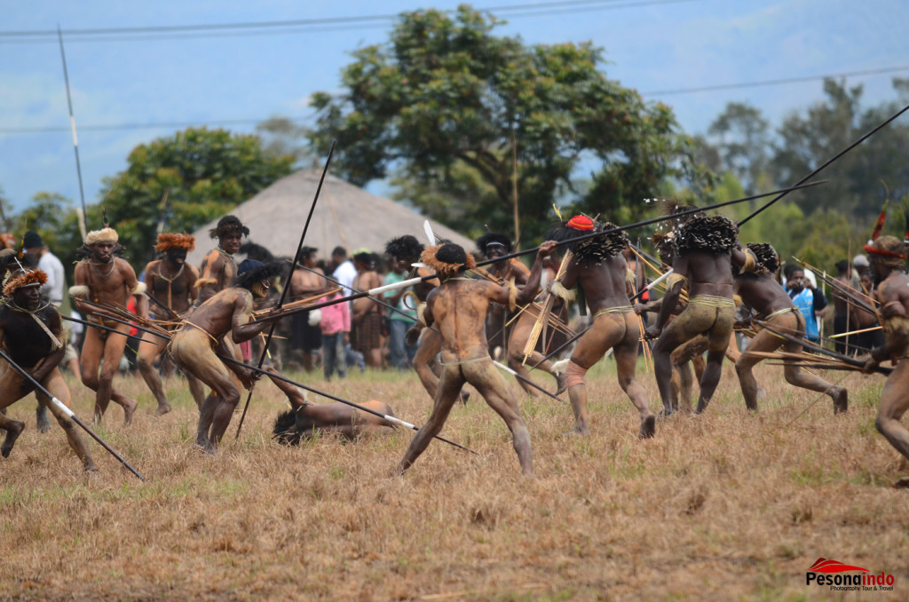 Festival Lembah Baliem Wamena Papua (9)