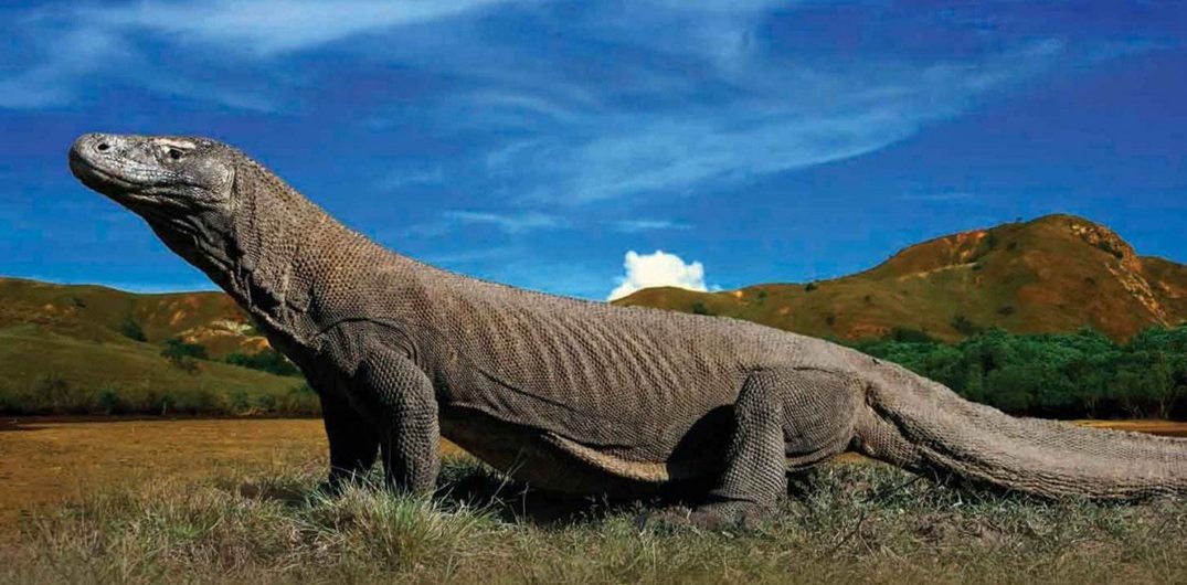 Foto Sailing Komodo Pesona Indonesia - fototrip 3