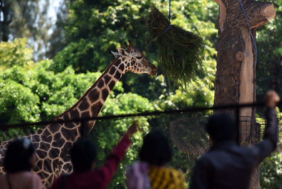 Foto Daftar Tempat Wisata Populer di Surabaya Pesona Indonesia - fototrip 2