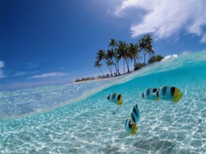 Foto Tempat Wisata Alam di Sulawesi Pesona Indonesia - fototrip 1