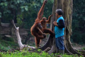 Foto Tempat Wisata di Solo Jawa Tengah Pesona Indonesia - fototrip 1