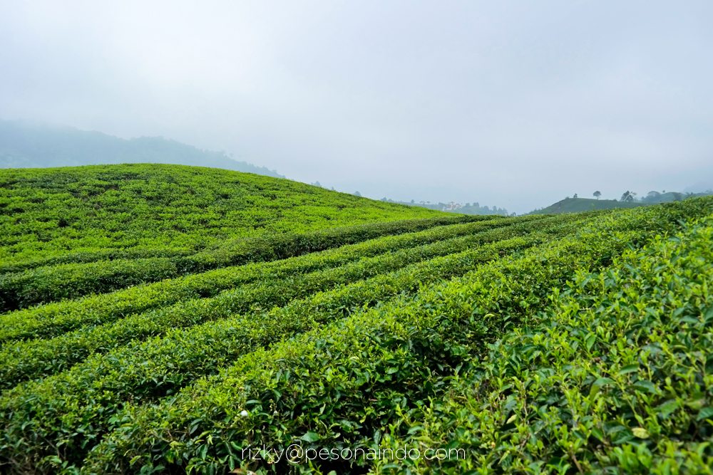 Foto Perjalanan Explore Sumatera sampai ke Ujung Indonesia Pesona Indonesia - fototrip 10