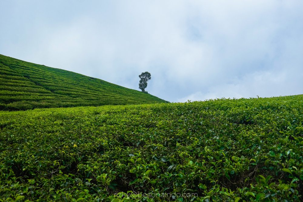 Foto Perjalanan Explore Sumatera sampai ke Ujung Indonesia Pesona Indonesia - fototrip 2
