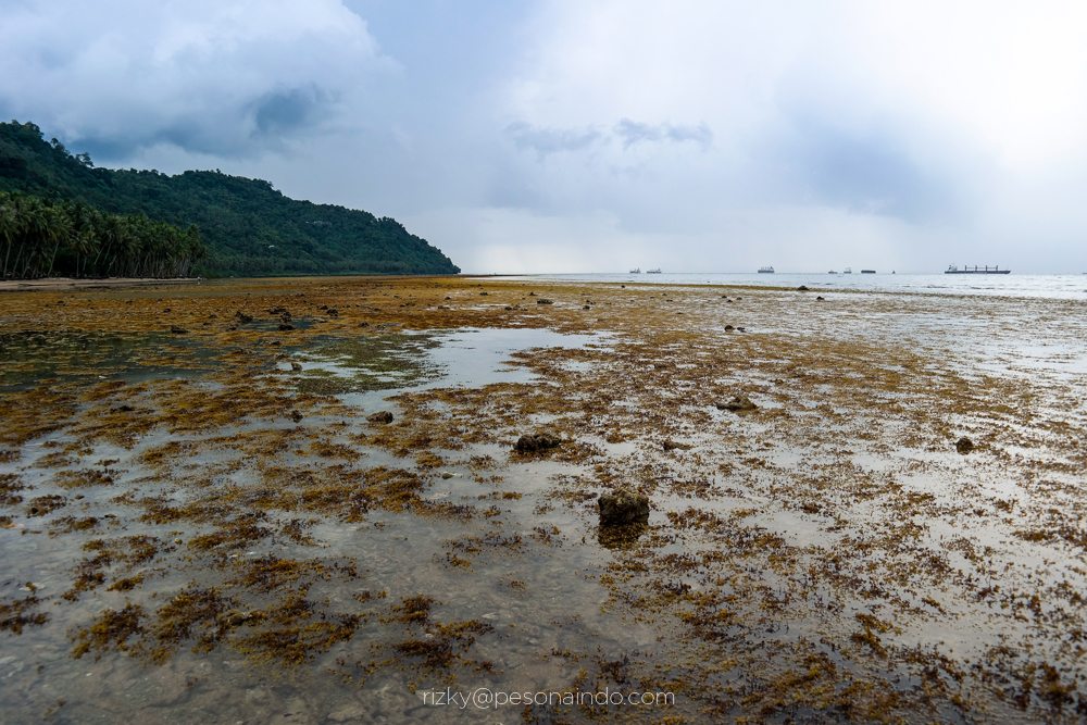 Foto Perjalanan Explore Sumatera sampai ke Ujung Indonesia Pesona Indonesia - fototrip 13