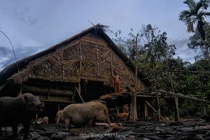 Rumah Uma