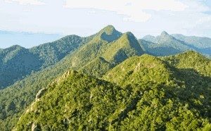 5. Taman Nasional Bukit Raya