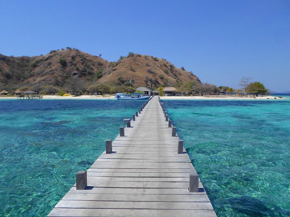 Paket tour flores sailing komodo murah