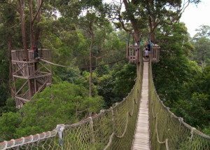 Kawasan Wisata Bukit Bangkirai