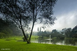 Kebun Raya Cibodas
