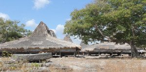 Paket Wisata Sumba Timur Indonesia Rumah Adat Waingapu