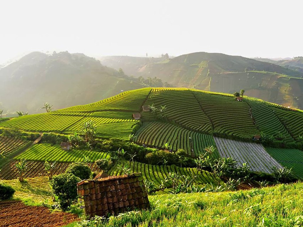 Paket Wisata Argapura Pesona Indonesia - fototrip 2