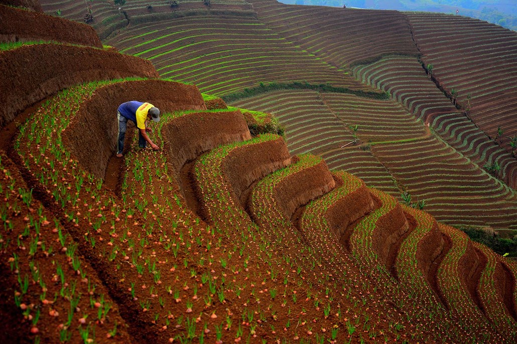 Paket Wisata Argapura Pesona Indonesia - fototrip 3