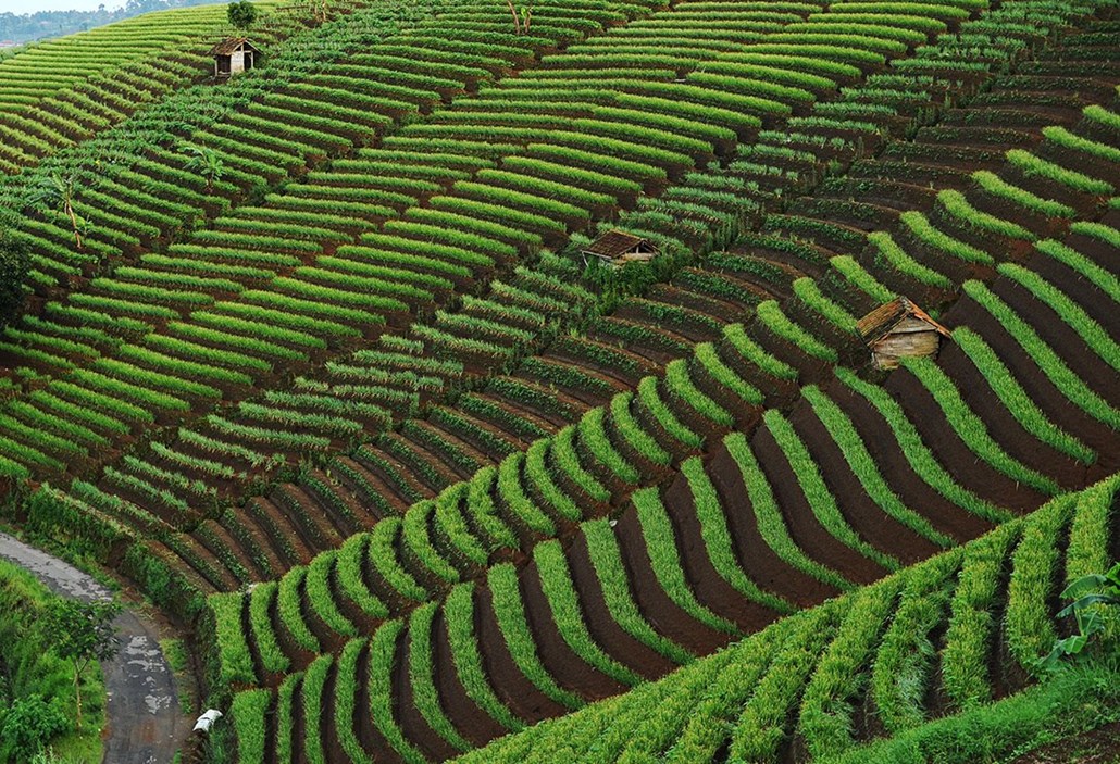 Paket Wisata Argapura Pesona Indonesia - fototrip 4