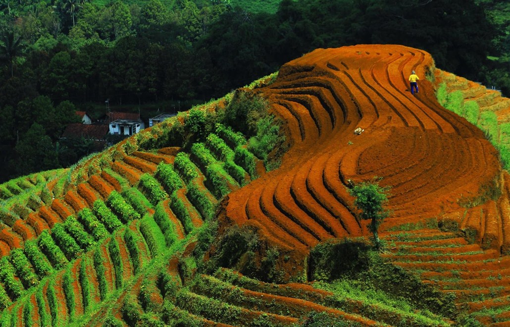 Paket Wisata Argapura Pesona Indonesia - fototrip 5