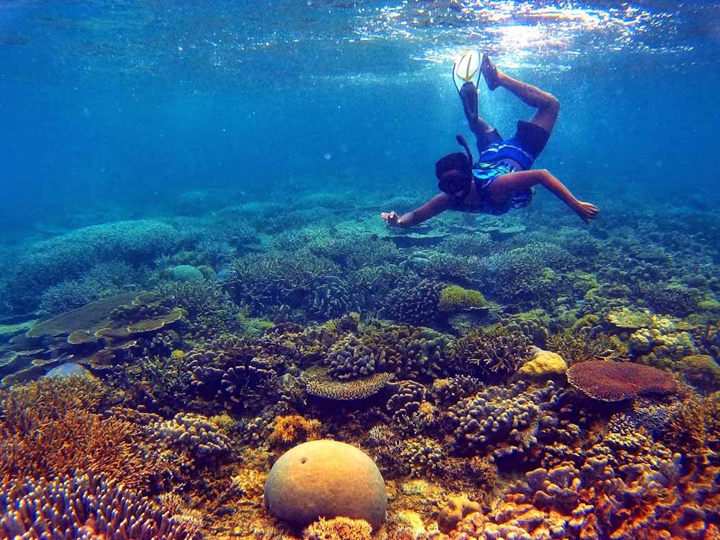 Paket Wisata Backpacker To Raja Ampat Pesona Indonesia-Foto Trip 4