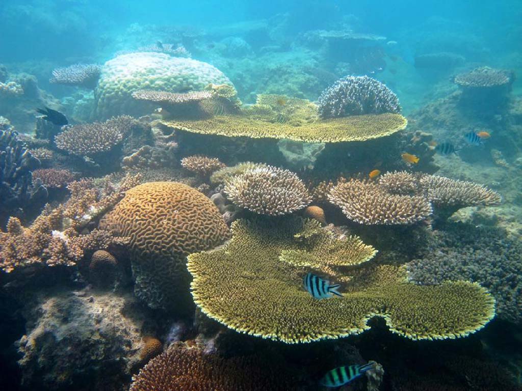 Paket Wisata Belitung Photography Trip Pesona Indonesia-Foto Trip 4