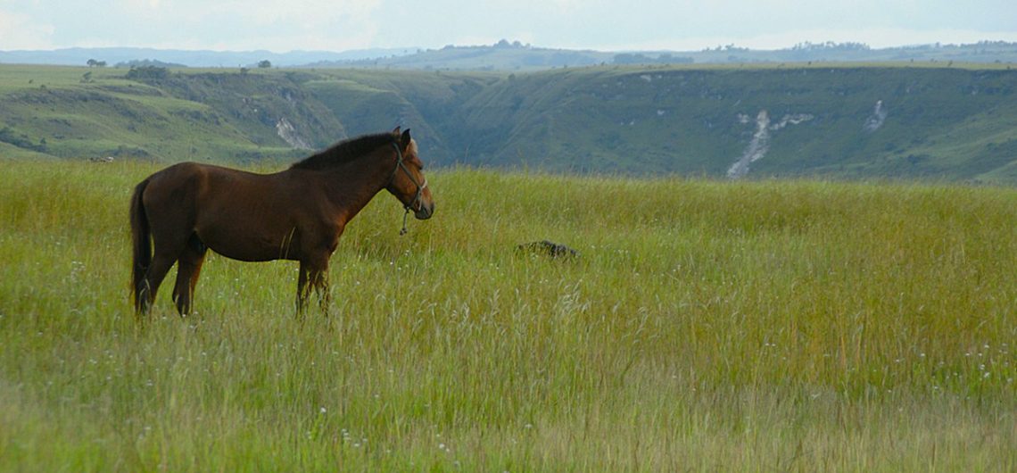 Paket Wisata Jelajah Sumba Pesona Indonesia Fototrip 4