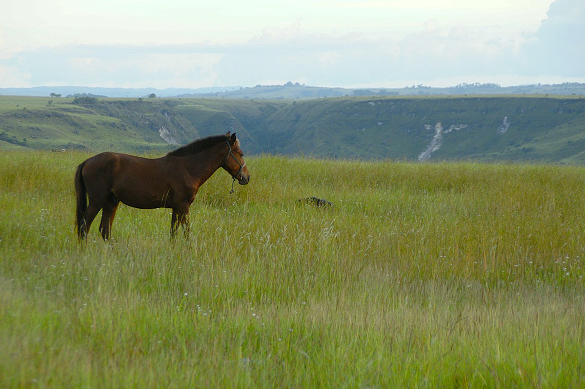 Paket Wisata Jelajah Sumba Pesona Indonesia Fototrip 4
