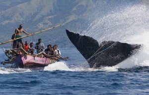 Paket Wisata Lembata Island Pesona Indonesia - fototrip 2