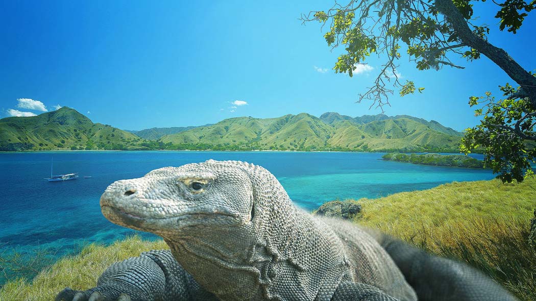 Paket Wisata Sailing Komodo Island Pesona Indonesia -Foto Trip 3