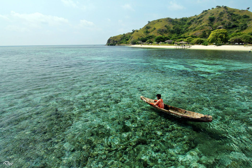 Paket Wisata Sailing Trip LombokLabuan Bajo Pesona