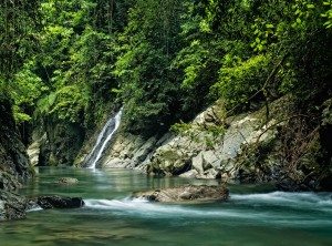 Paket Wisata Tangkahan Sumatera Utara Pesona Indonesia - fototrip 3