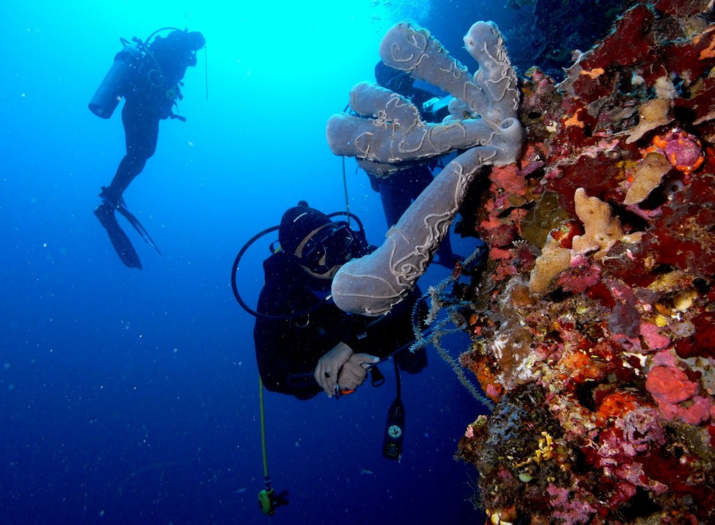 Paket Wisata Togean dan Gorontalo Pesona Indonesia - fototrip 4