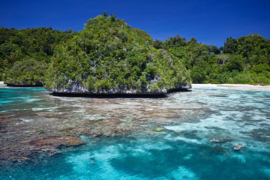 Paket tour wisata raja ampat misool