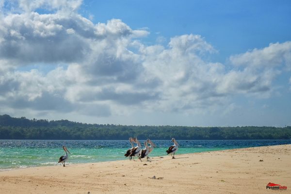 Paket Wisata Kepulauan Kei Maluku Tenggara Pesona Indonesia