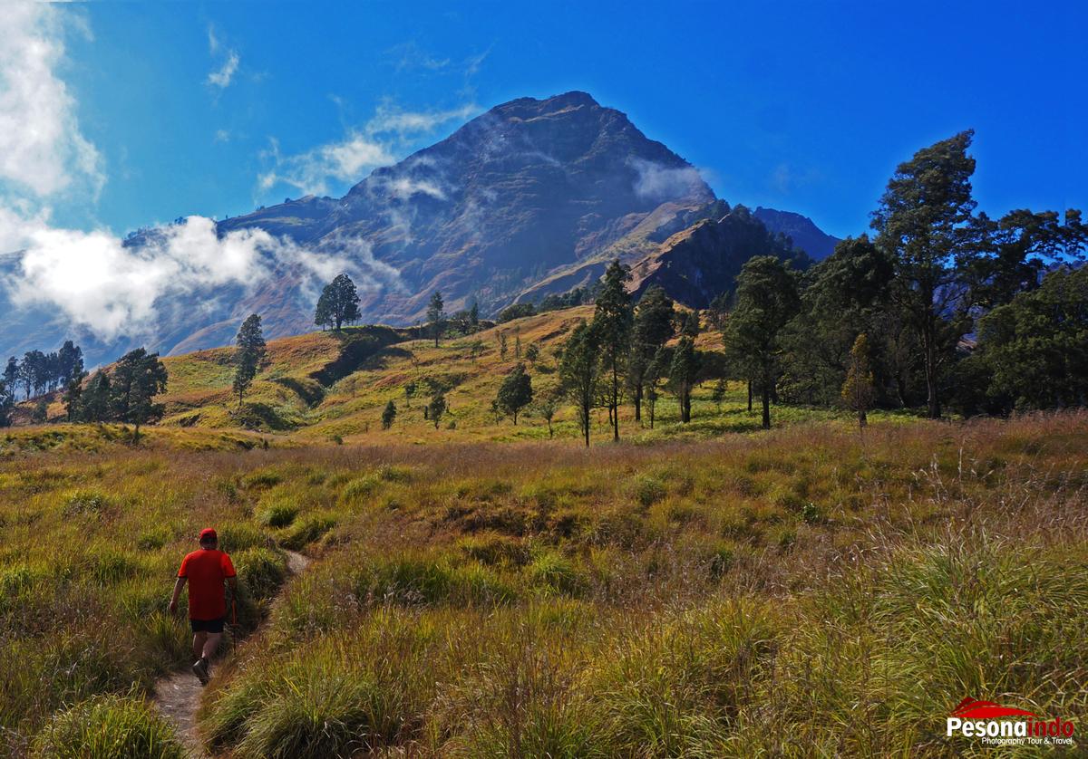 Perjalanan menuju segara anak Rinjani