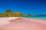 Pink beach pulau komodo flores tour murah