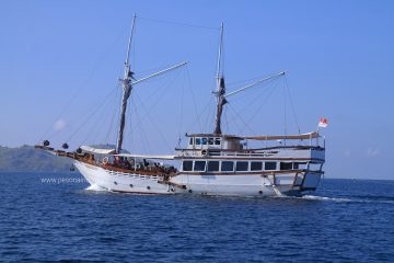 paket wisata sailing trip lombok