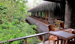 Samboja Lodge