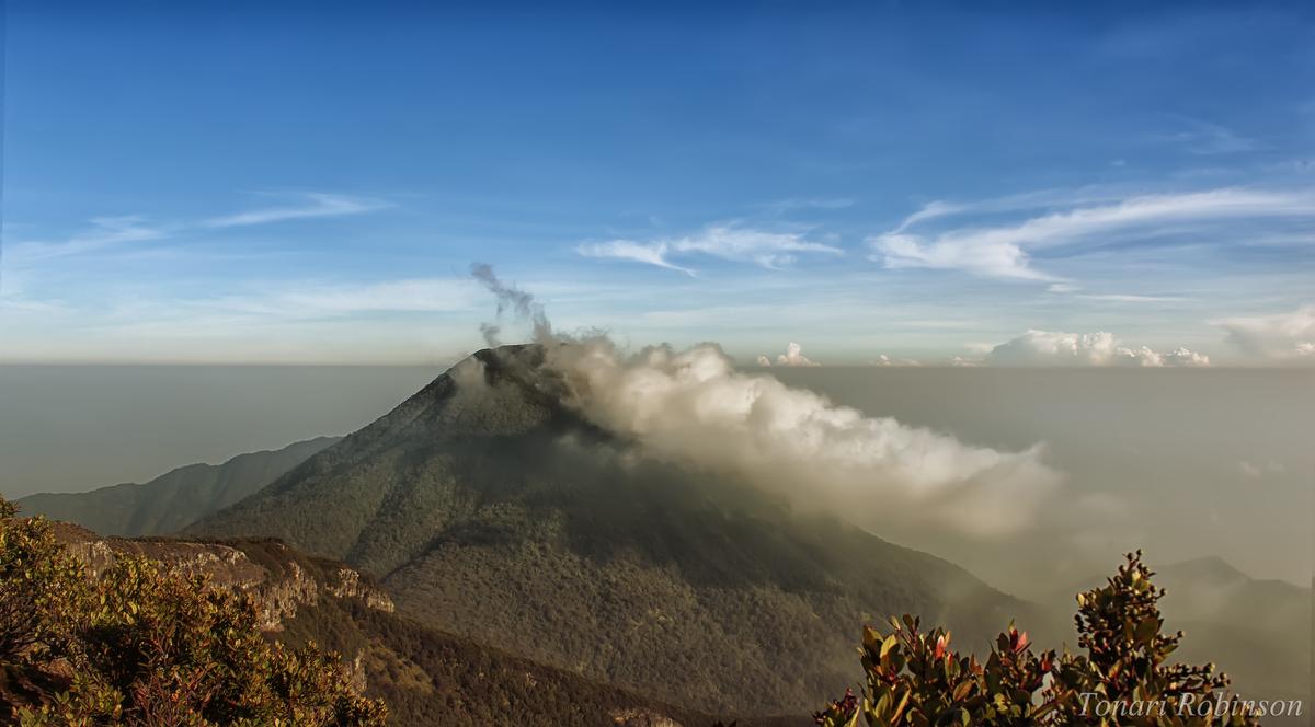 Taman Nasional Gunung Gede
