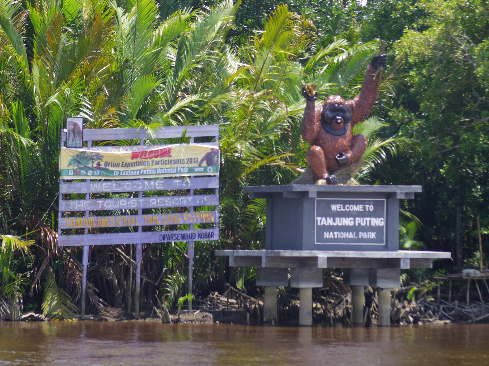Tanjung Puting-bg