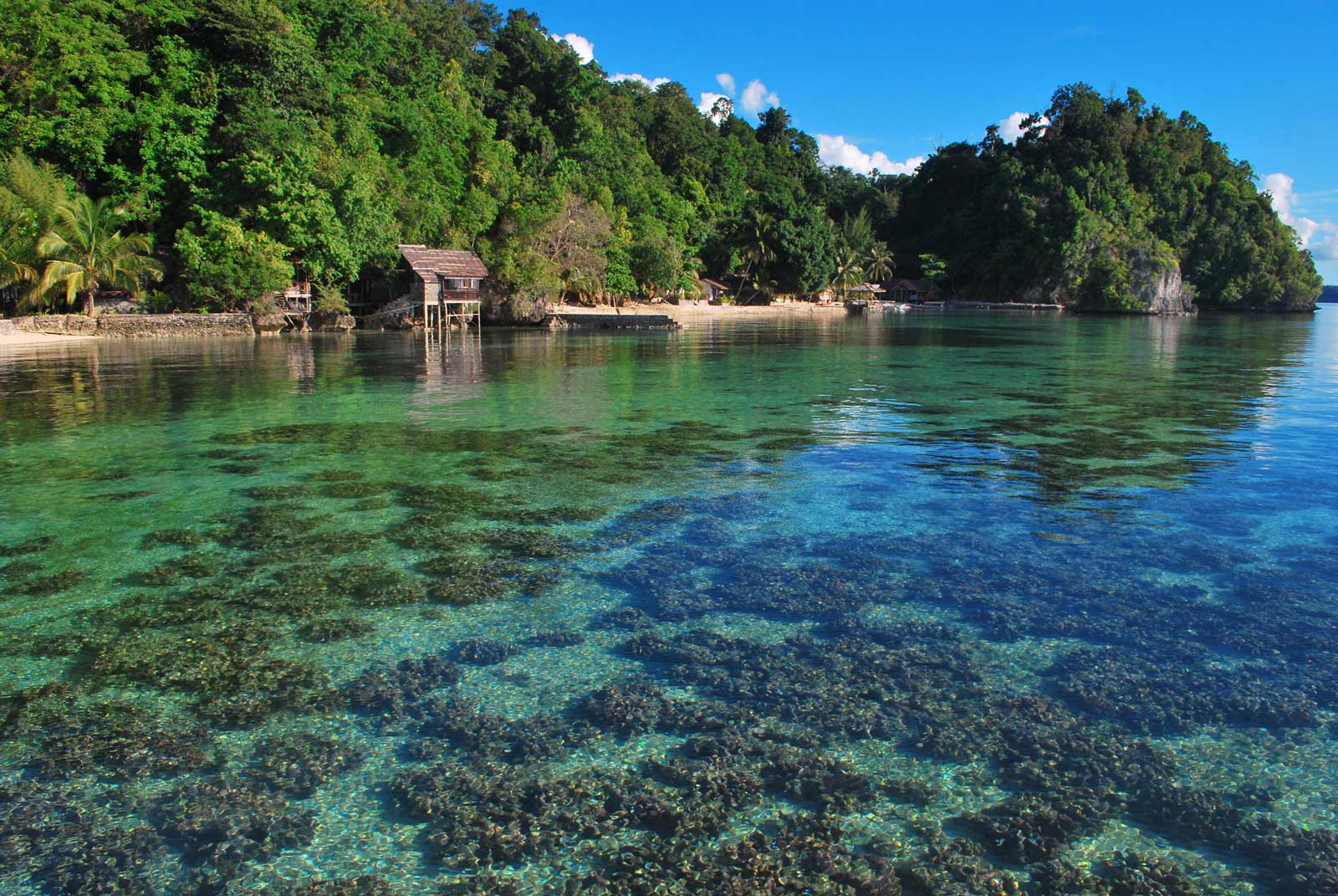 Tour-Kepulauan-Togean-bg
