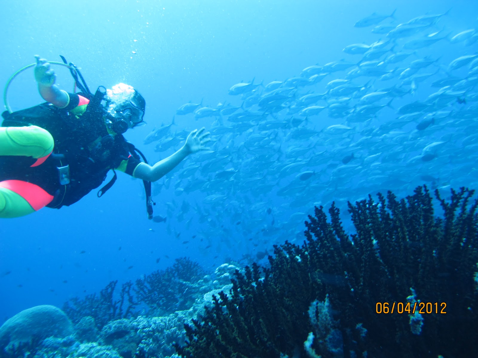 Tour Wakatobi - bg
