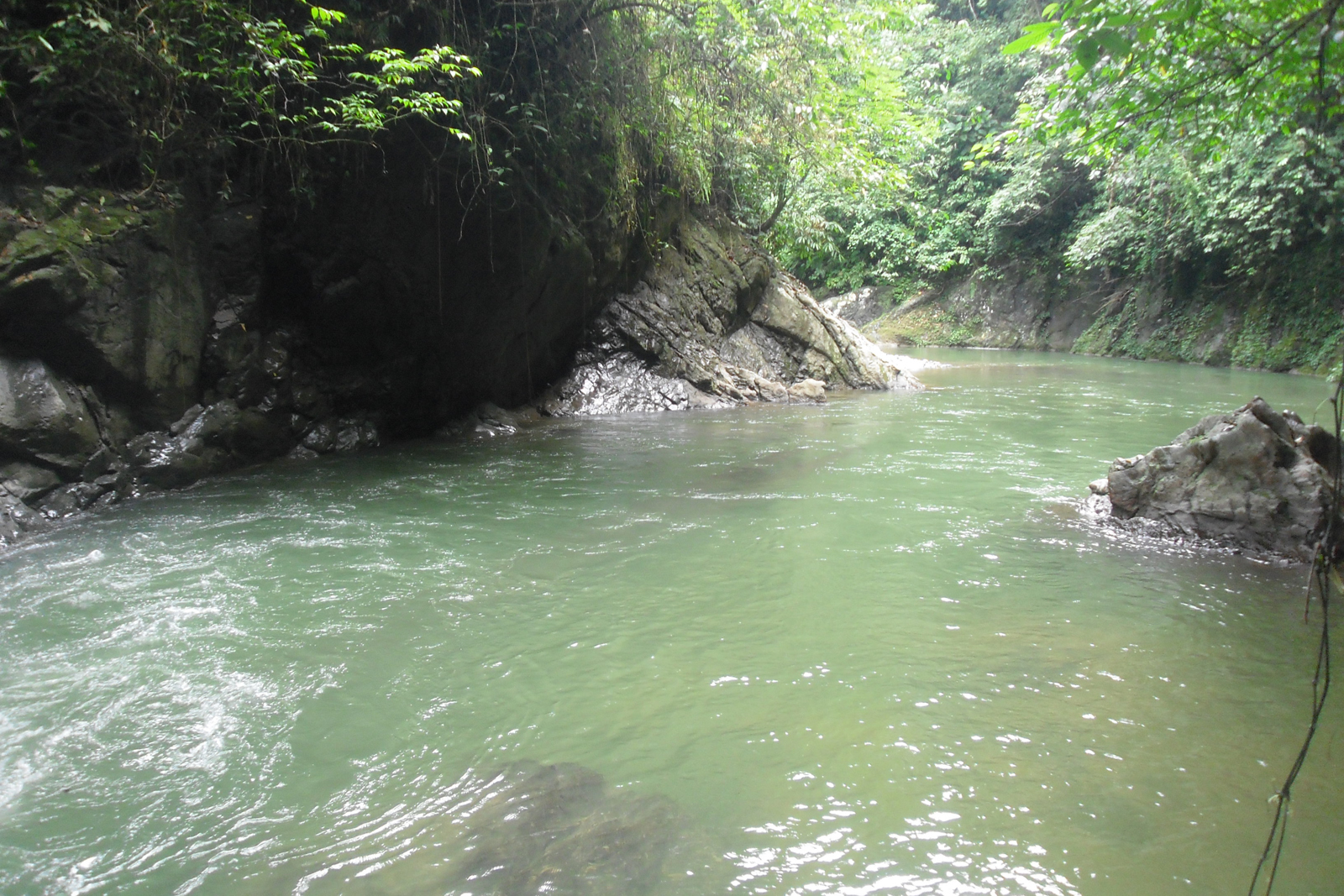 Wonderful Tangkahan1-bg