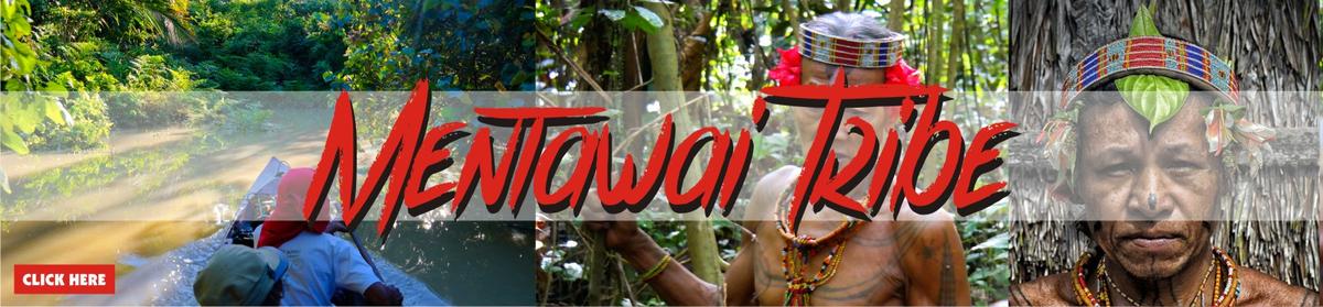 banner mentawai