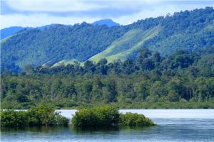 Danau sentarum