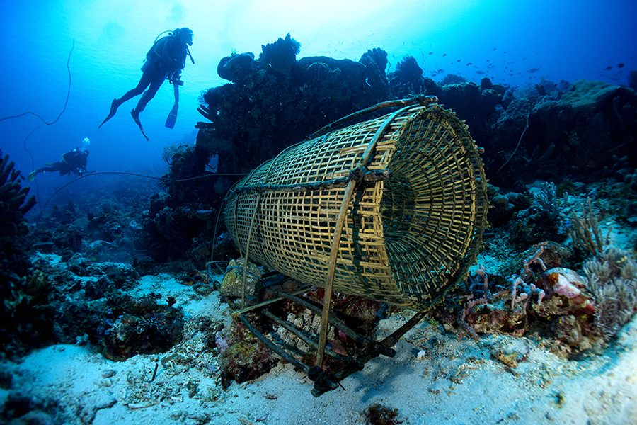 Tips Snorkling dan Diving Labuan Bajo