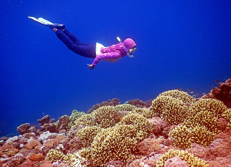 Snorkling di Laut Sulamadaha Ternate
